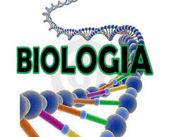 CS BIOLÓGICAS - 3 año